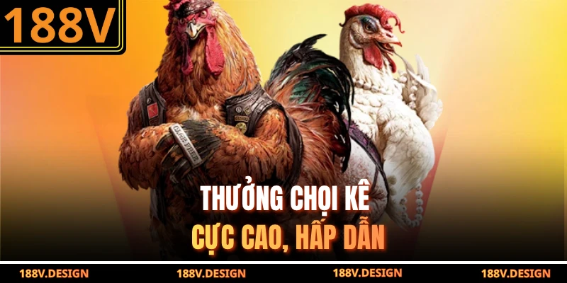 Thưởng chọi kê cực cao, hấp dẫn